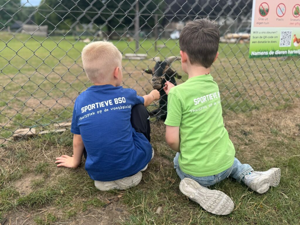 WhatsApp Image 2025-07-21 at 15.15.59